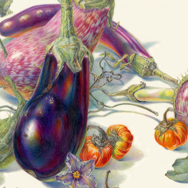 Jean Emmons, Eggplants